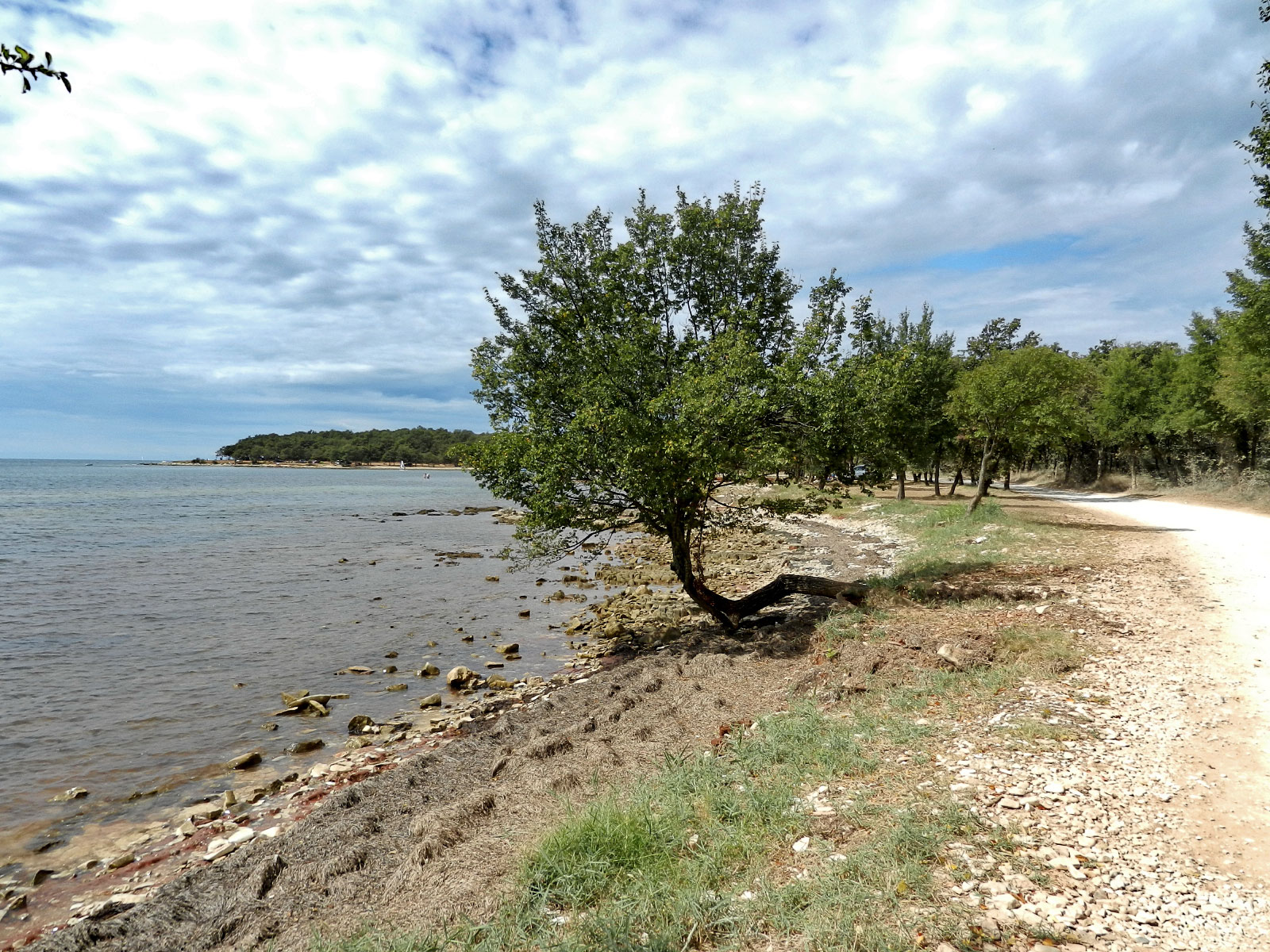 Cervar-porat